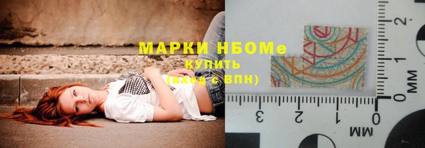 гидра Каменногорск