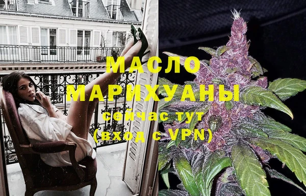 гидра Каменногорск