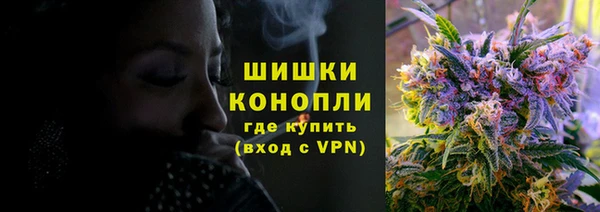 гидра Каменногорск