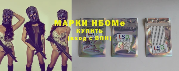 гидра Каменногорск