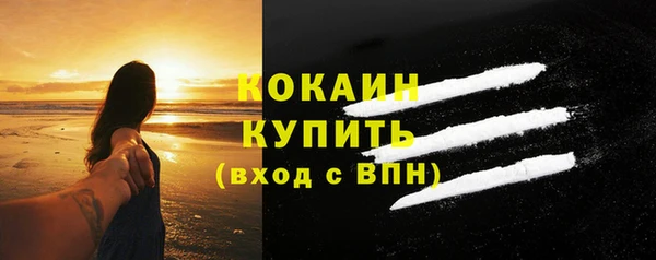 гидра Каменногорск