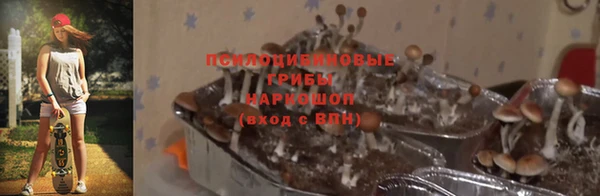 a pvp Каменка