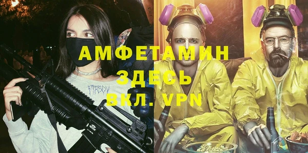 гидра Каменногорск