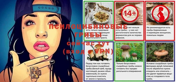a pvp Каменка