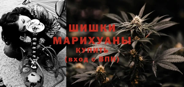 гидра Каменногорск
