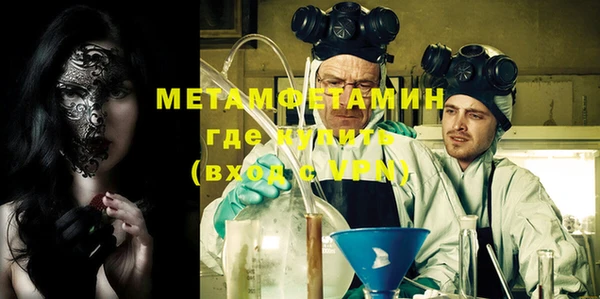 гидра Каменногорск